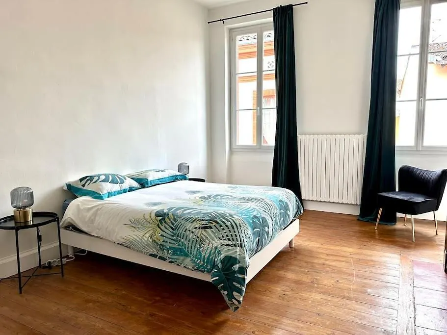 Appartement Standing Dans Hypercentre Historique Toulouse Francia