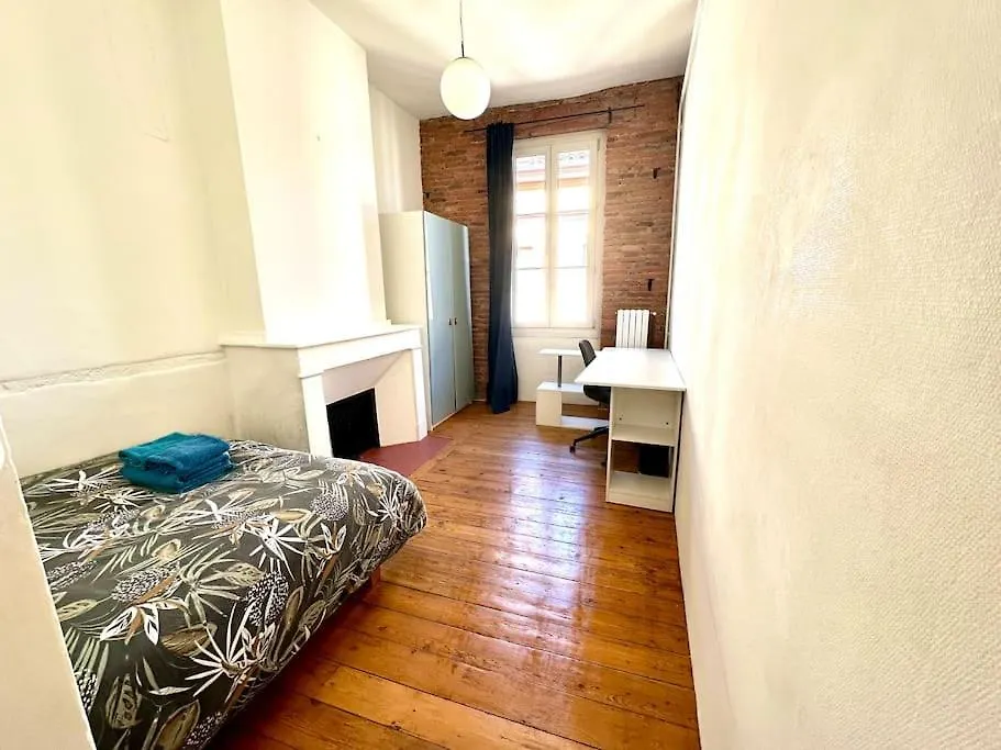 Appartement Standing Dans Hypercentre Historique Toulouse 0*,  Francie