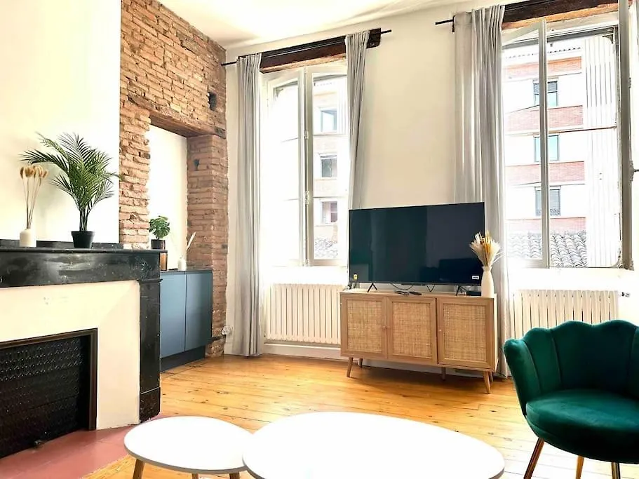 Appartement Standing Dans Hypercentre Historique Toulouse Apartmán